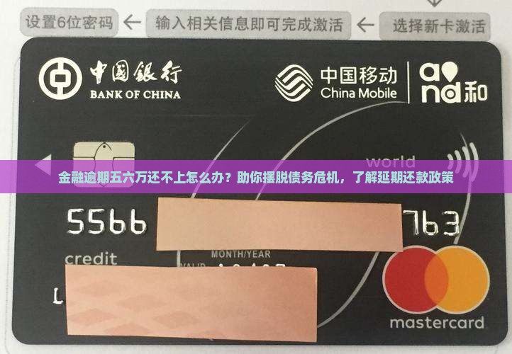 金融逾期五六万还不上怎么办？助你摆脱债务危机，了解延期还款政策