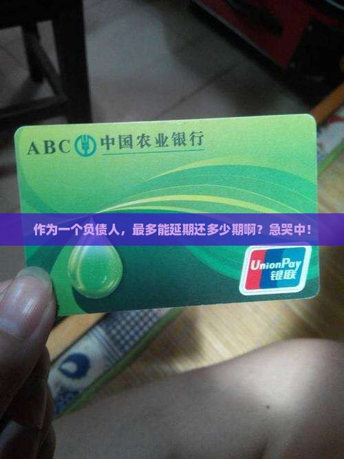 作为一个负债人，最多能延期还多少期啊？急哭中！
