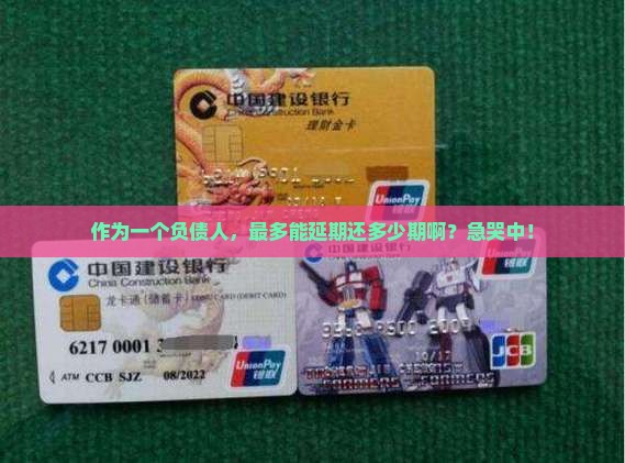 作为一个负债人，最多能延期还多少期啊？急哭中！