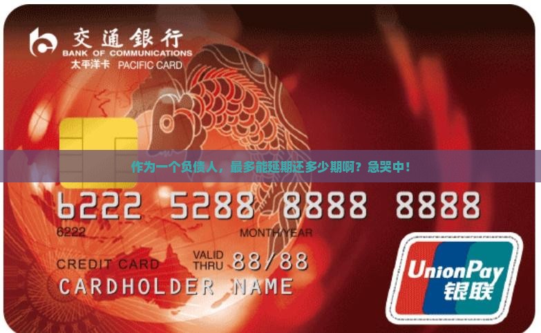 作为一个负债人，最多能延期还多少期啊？急哭中！