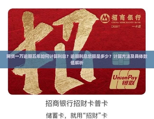 网贷一万逾期五年如何计算利息？逾期利息总额是多少？计算方法及具体数值解析