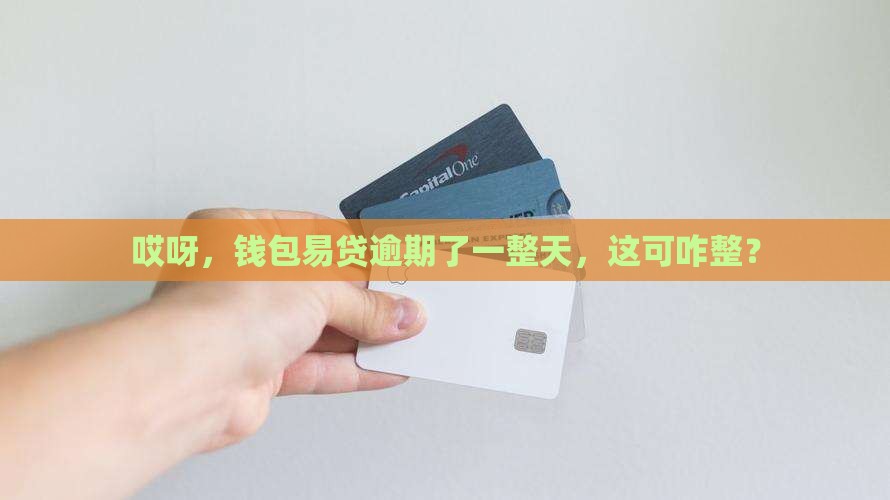哎呀，钱包易贷逾期了一整天，这可咋整？