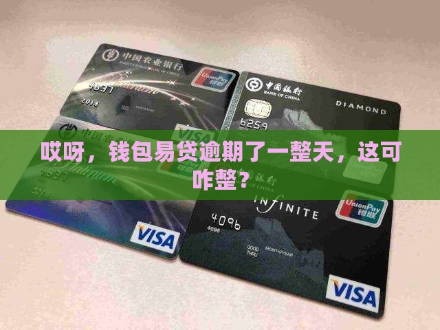 哎呀，钱包易贷逾期了一整天，这可咋整？
