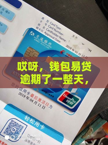 哎呀，钱包易贷逾期了一整天，这可咋整？