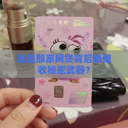谁是那家网贷背后的催收秘密武器？