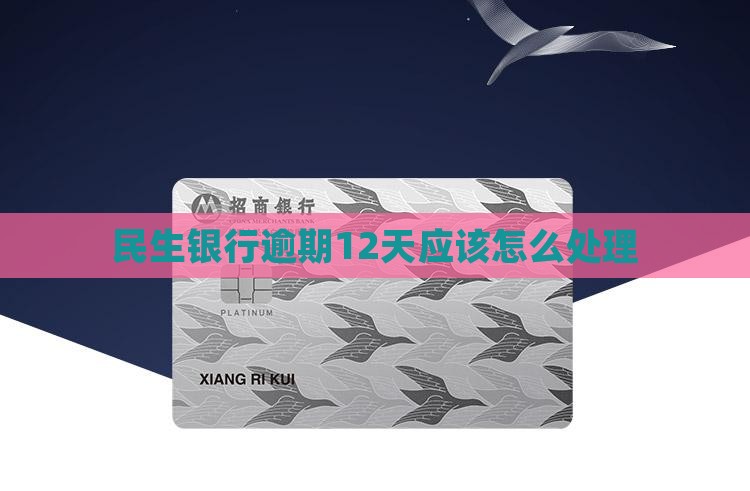 民生银行逾期12天应该怎么处理