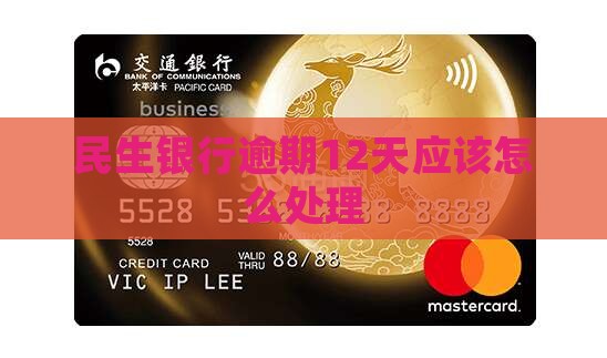 民生银行逾期12天应该怎么处理