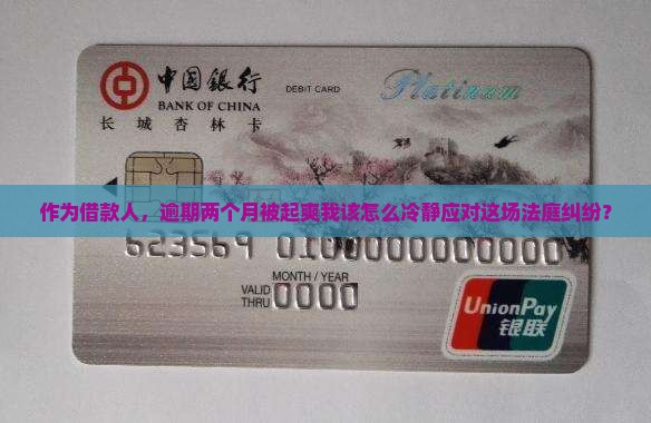 作为借款人，逾期两个月被起爽我该怎么冷静应对这场法庭纠纷？