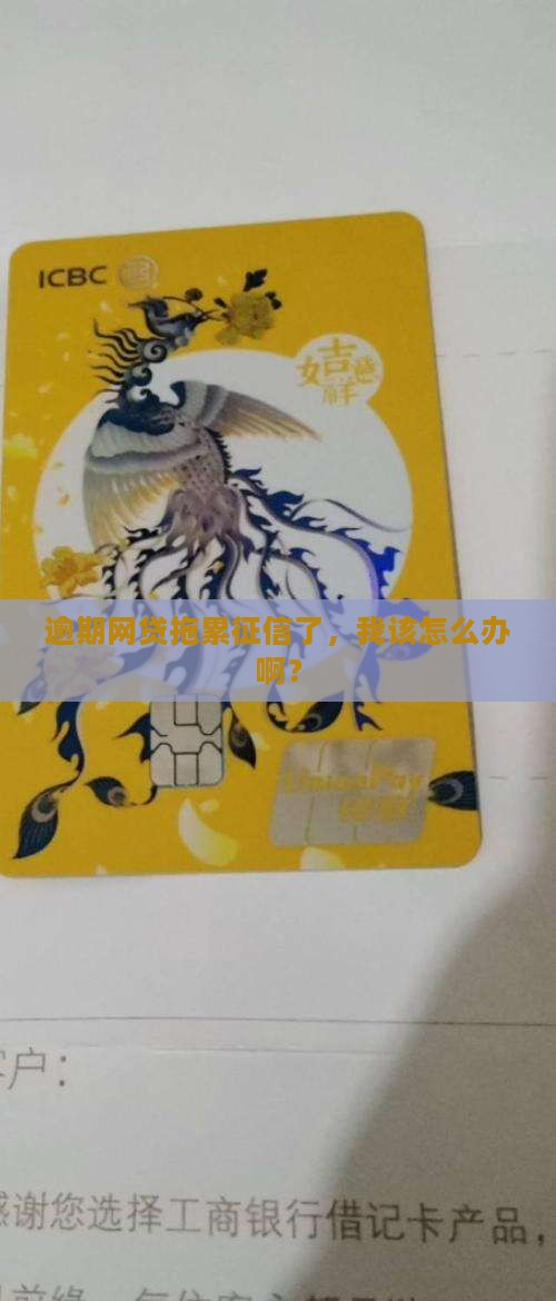 逾期网贷拖累征信了，我该怎么办啊？