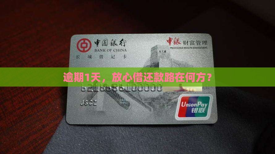 逾期1天，放心借还款路在何方？