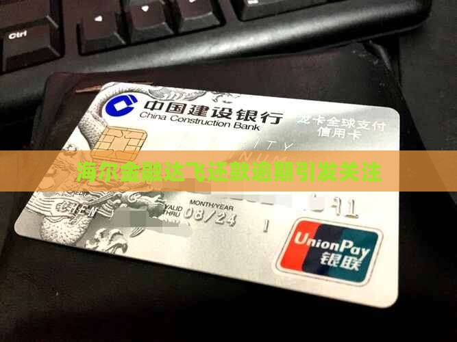 海尔金融达飞还款逾期引发关注