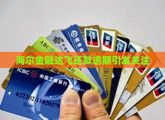 海尔金融达飞还款逾期引发关注