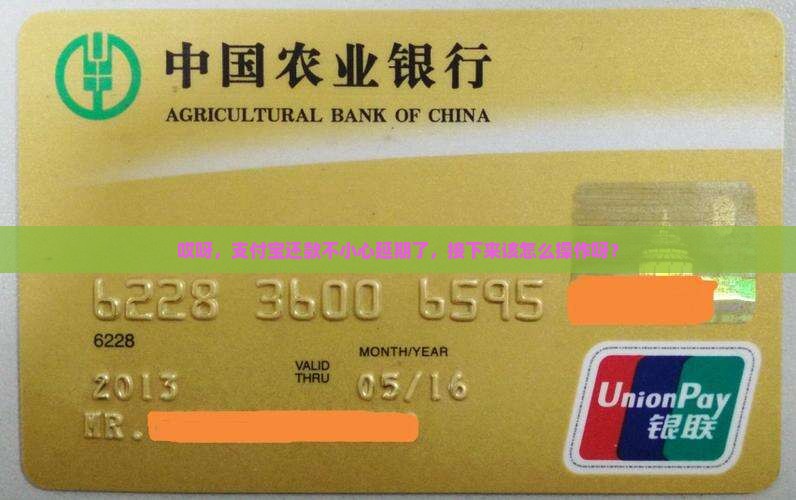 哎呀，支付宝还款不小心延期了，接下来该怎么操作呀？