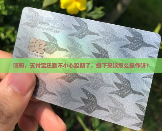 哎呀，支付宝还款不小心延期了，接下来该怎么操作呀？