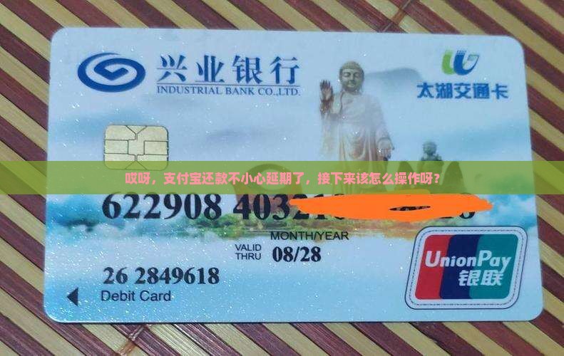 哎呀，支付宝还款不小心延期了，接下来该怎么操作呀？