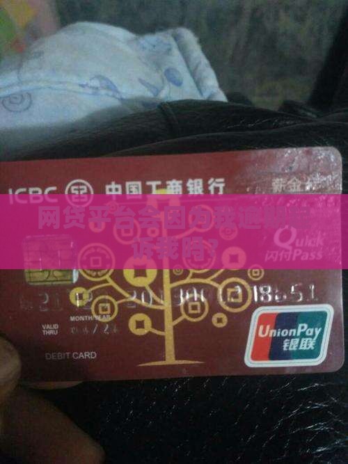 网贷平台会因为我逾期起诉我吗？