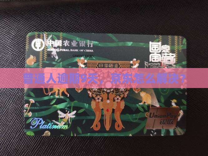 普通人逾期9天，京东怎么解决？
