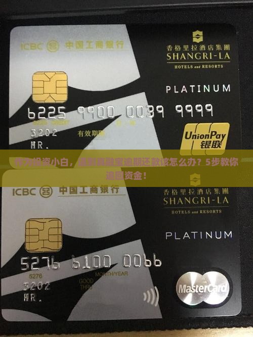 作为投资小白，遇到真融宝逾期还款该怎么办？5步教你追回资金！