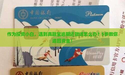 作为投资小白，遇到真融宝逾期还款该怎么办？5步教你追回资金！