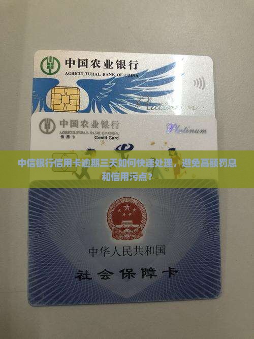 中信银行信用卡逾期三天如何快速处理，避免高额罚息和信用污点？