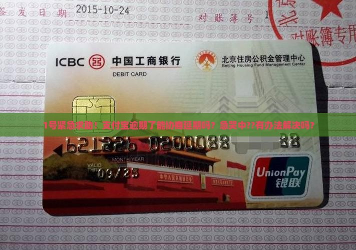 1号紧急求助！支付宝逾期了能协商延期吗？急哭中??有办法解决吗？