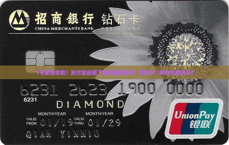 1号紧急求助！支付宝逾期了能协商延期吗？急哭中??有办法解决吗？