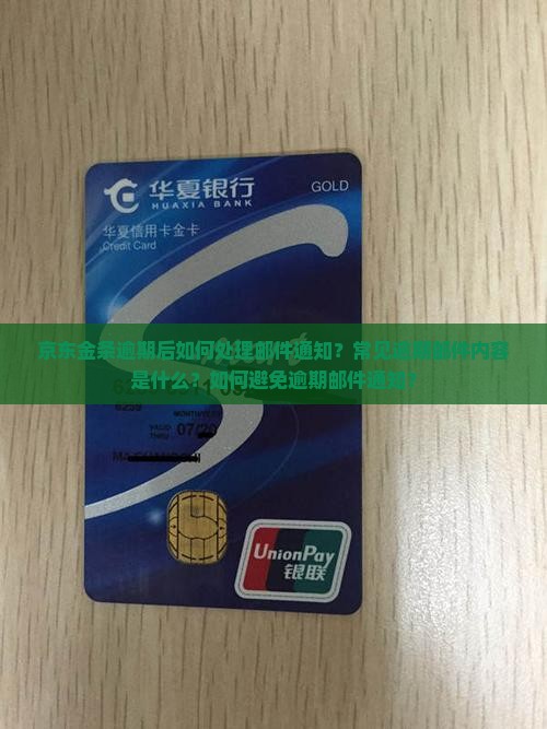 京东金条逾期后如何处理邮件通知？常见逾期邮件内容是什么？如何避免逾期邮件通知？
