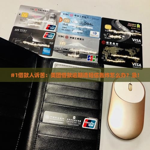 #1借款人诉苦：美团借款逾期遭短信轰炸怎么办？急！