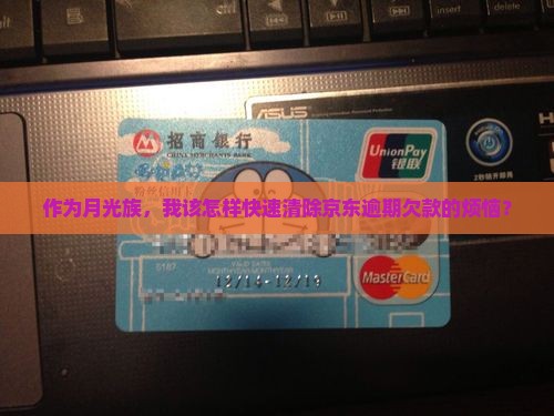 作为月光族，我该怎样快速清除京东逾期欠款的烦恼？