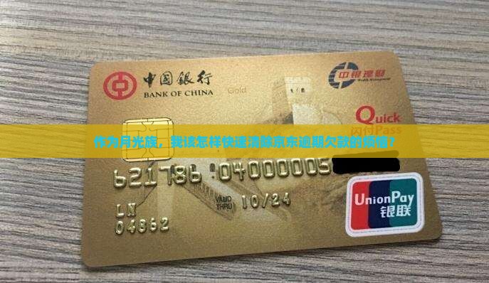 作为月光族，我该怎样快速清除京东逾期欠款的烦恼？
