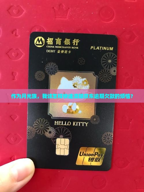 作为月光族，我该怎样快速清除京东逾期欠款的烦恼？