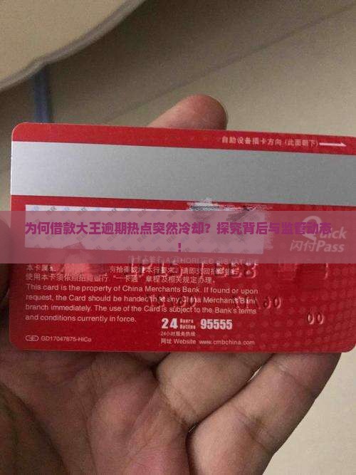 为何借款大王逾期热点突然冷却？探究背后与监管动态！
