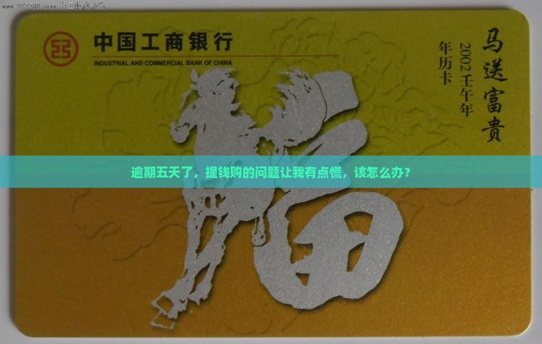 逾期五天了，提钱购的问题让我有点慌，该怎么办？