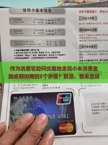 作为消费宅如何优雅地走完小米消费金融逾期协商的5个步骤？别急，我来告诉你！