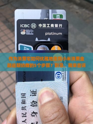 作为消费宅如何优雅地走完小米消费金融逾期协商的5个步骤？别急，我来告诉你！