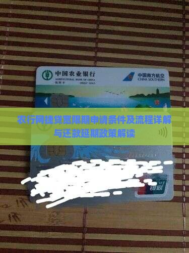 农行网捷贷宽限期申请条件及流程详解与还款延期政策解读