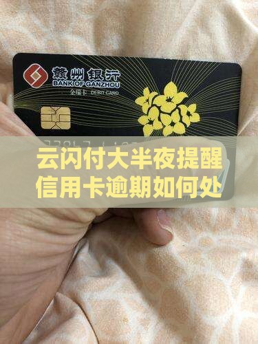 云闪付大半夜提醒信用卡逾期如何处理