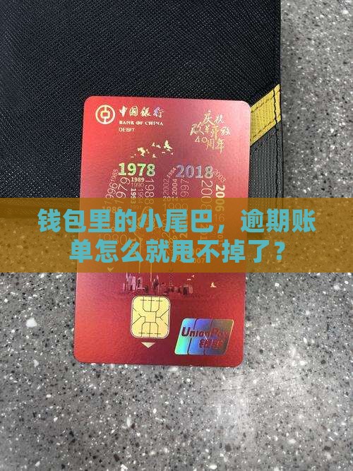 钱包里的小尾巴，逾期账单怎么就甩不掉了？