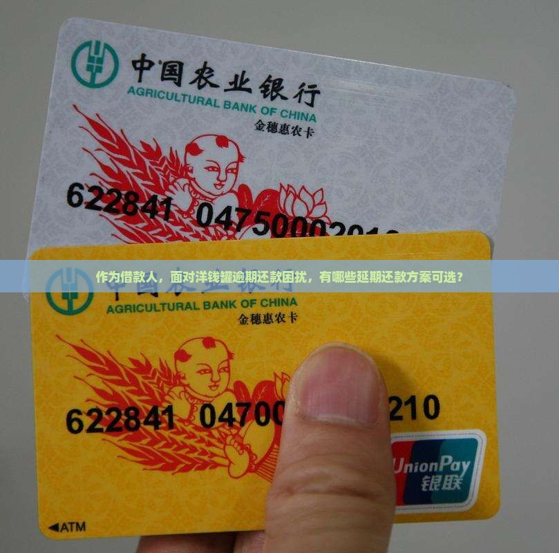 作为借款人，面对洋钱罐逾期还款困扰，有哪些延期还款方案可选？