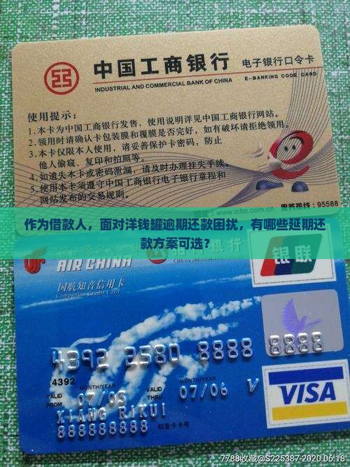 作为借款人，面对洋钱罐逾期还款困扰，有哪些延期还款方案可选？