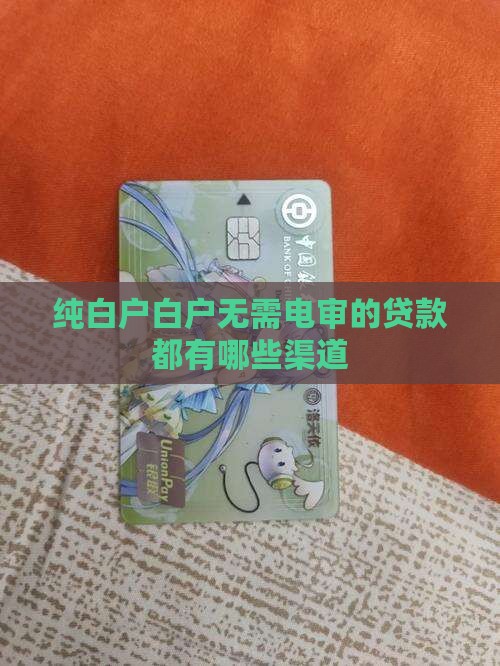 纯白户白户无需电审的贷款都有哪些渠道