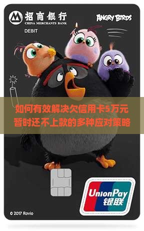 如何有效解决欠信用卡5万元暂时还不上款的多种应对策略与解决方案？
