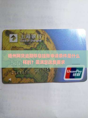 梧州网贷逾期停息挂账申请条件是什么样的？需满足这些要求