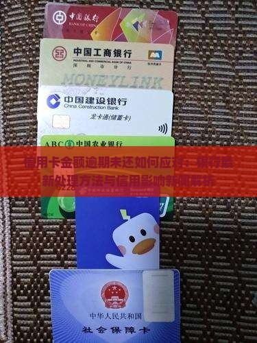 信用卡金额逾期未还如何应对：银行最新处理方法与信用影响新闻解析