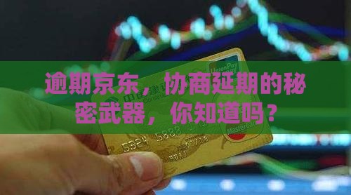 逾期京东，协商延期的秘密武器，你知道吗？