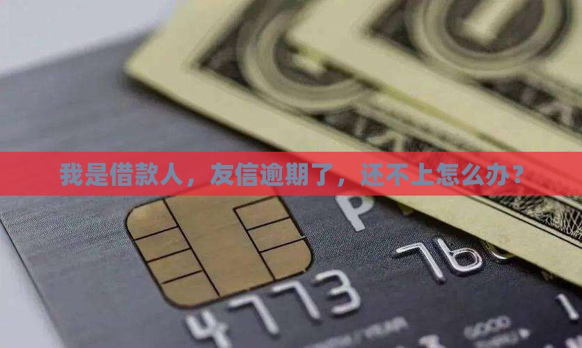 我是借款人，友信逾期了，还不上怎么办？