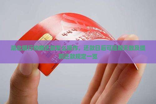 湖北银行协商还款怎么操作，还款日后可延期天数及提前还款规定一览