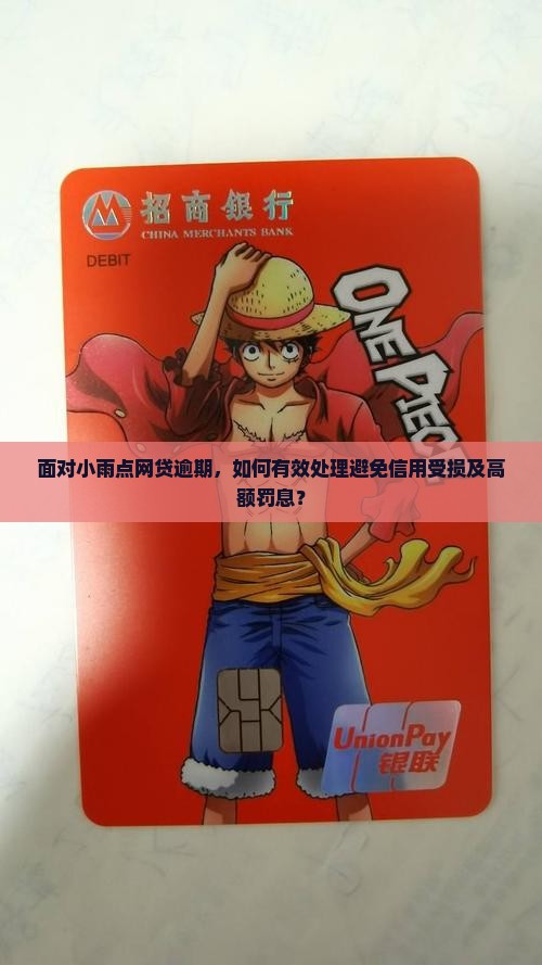 面对小雨点网贷逾期，如何有效处理避免信用受损及高额罚息？