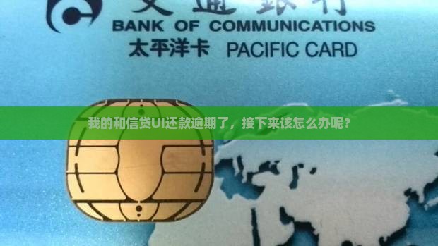 我的和信贷UI还款逾期了，接下来该怎么办呢？