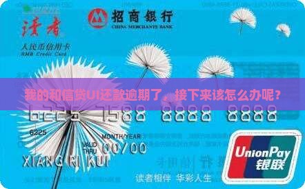 我的和信贷UI还款逾期了，接下来该怎么办呢？